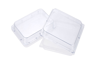 PC塑料足球初盘和即时盘对比分析生产中如何解决气泡?