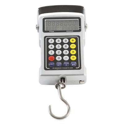 便携式电子秤(图3)