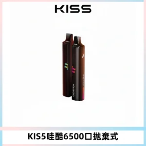 KIS5WAGOO哇酷6500口拋棄式 | 自由混搭雙口味 | 雙芯組合